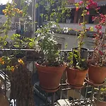 Bellini Apartment Catania