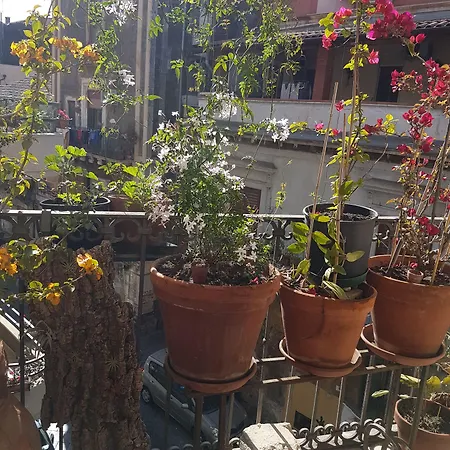 Bellini Appartement Catane