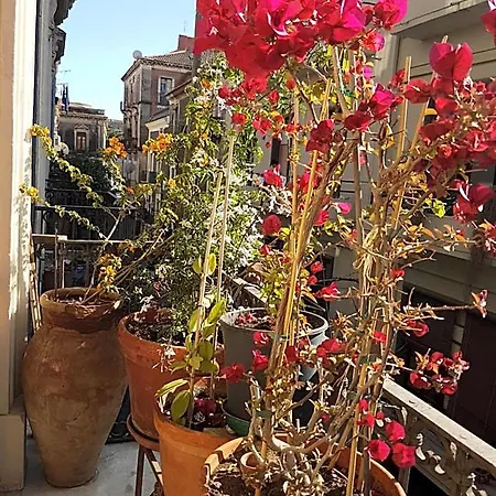 Bellini Διαμέρισμα Κατάνια