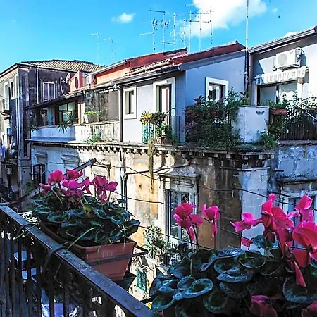 Bellini 公寓