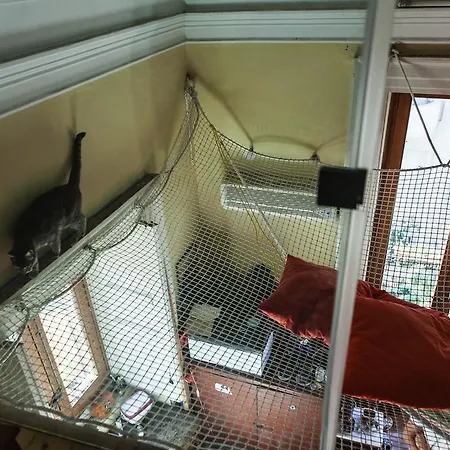 Apartmán Bellini *