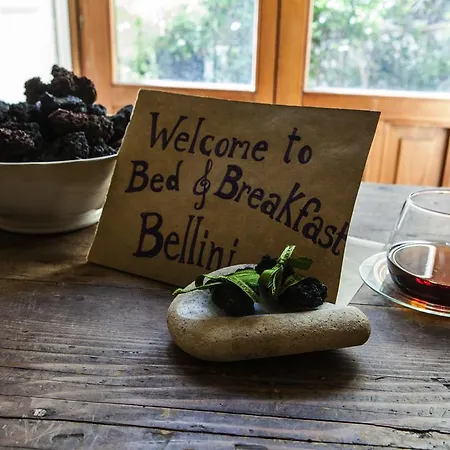 Bellini Katania